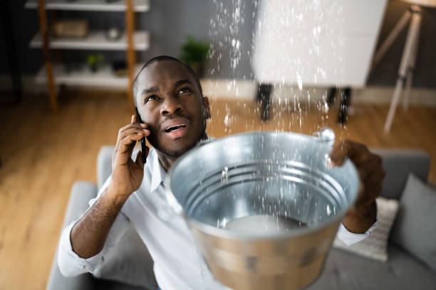 Best Water damage restoration experts  in Buna, TX