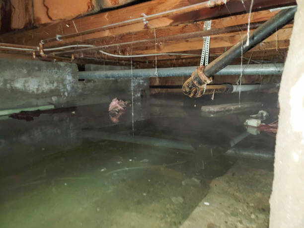 Best Sewage cleanup and water damage restoration  in Buna, TX