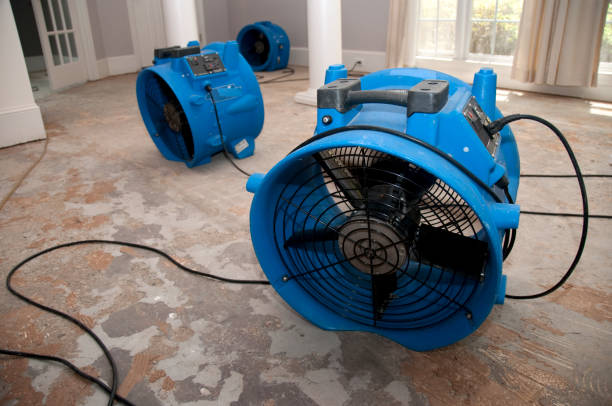 Best Water damage restoration specialists  in Buna, TX