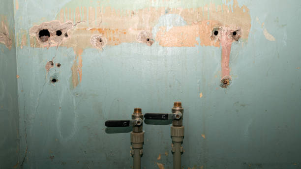 Best Emergency water extraction  in Buna, TX